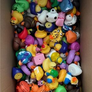 LOT of Assorted Rubber Ducks - 95pcs!